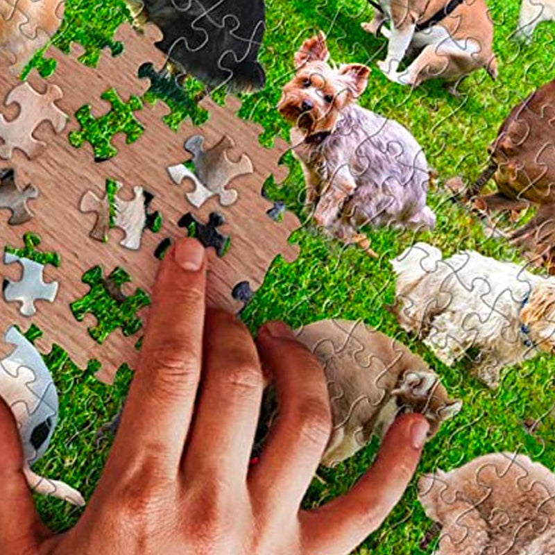 101 Pooping Puppies 1000 piece Puzzle