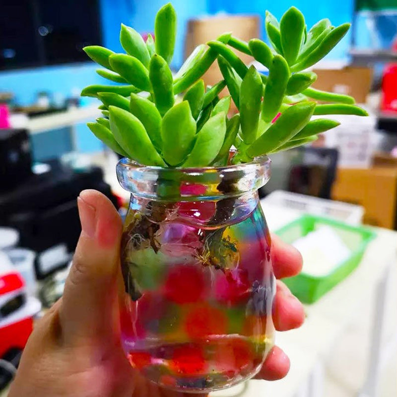 Crystal Soil Water Bead Gel